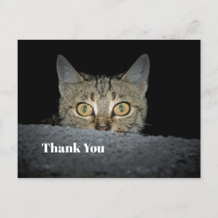Süße getigerte Katze schaut hervor Foto Danke Postkarte