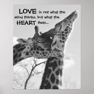 Süße Giraffen-Plakat LIEBE ist, was Ihr Herz Poster