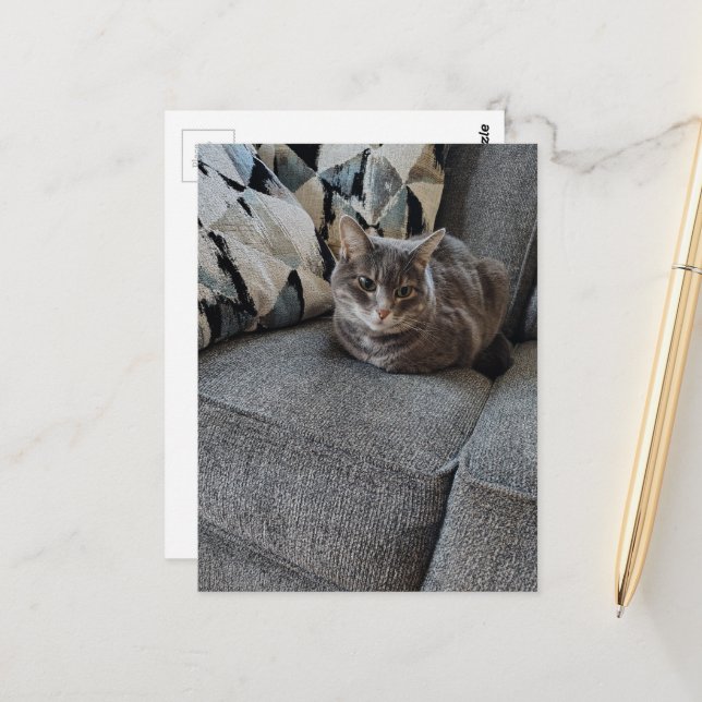 Süße graue getigerte Katze Postkarte (Vorderseite/Rückseite Beispiel)