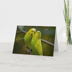 Süße grüne gelbe Wellensittichvögel auf einem Baum Karte
