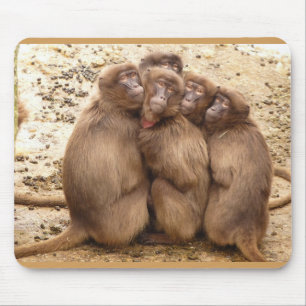 Süße Gruppe von Affen-Mauspad Mousepad