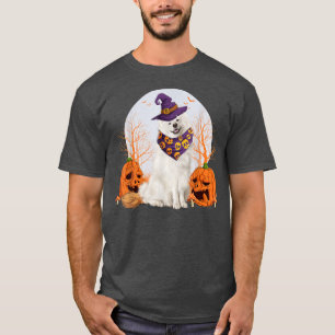 Süße Halloween-Hexe Corgi Kürbis Hundeliebhaber Co T-Shirt