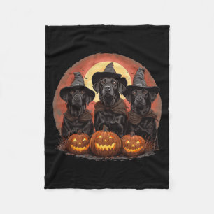 Süße Halloween schwarze Labrador Retriever Hunde H Fleecedecke