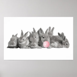 Süße Häschen Kaninchen Bubble Gum Kinderzimmer Poster
