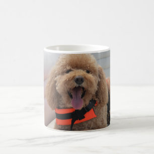 Süße Haustier Hund Cockapoo Bester Freund Fotograf Kaffeetasse