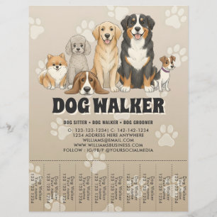 Süße Haustierbetreuung Hundespaziergang Benutzerde Flyer