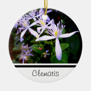 Süße Herbst-Clematis-Andenken-Weihnachtsbaumanhäng Keramik Ornament