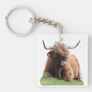 Süße Highland-Moo-Kuh Zottelige Schottische Rinder Schlüsselanhänger