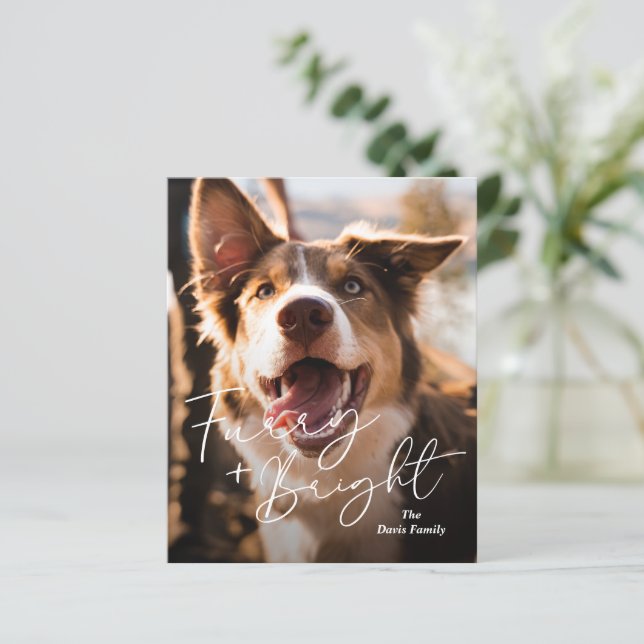 Süße Hund Foto Moderne Budget Weihnachtskarte (Stehend Vorderseite)