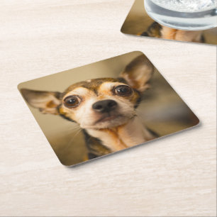 Süße Hund Untersetzer 10
