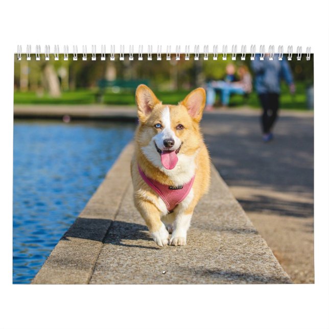 Süße Hunde Einfach Minimal Kalender (Titelbild)
