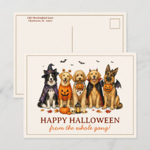 Süße Hunde in Kostümen Halloween Postkarte