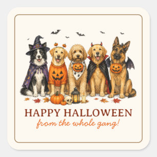 Süße Hunde in Kostümen Halloween Quadratischer Aufkleber