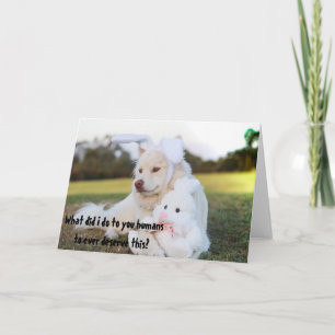 Süße Hunde-Osterhasen-Verkleidung Lustige Karte