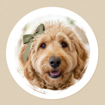 Süße individuelle Foto-Hund-Haustier-modern bedruc