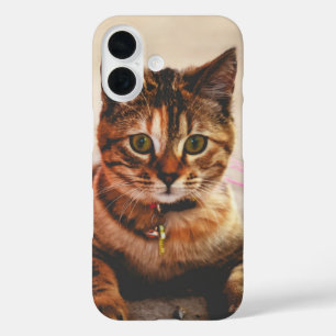 Süße junge getigerte Katze Kätzchen Tier iPhone 16 Hülle