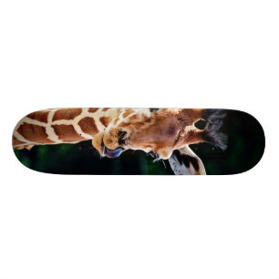 süße junge Giraffe Skateboard