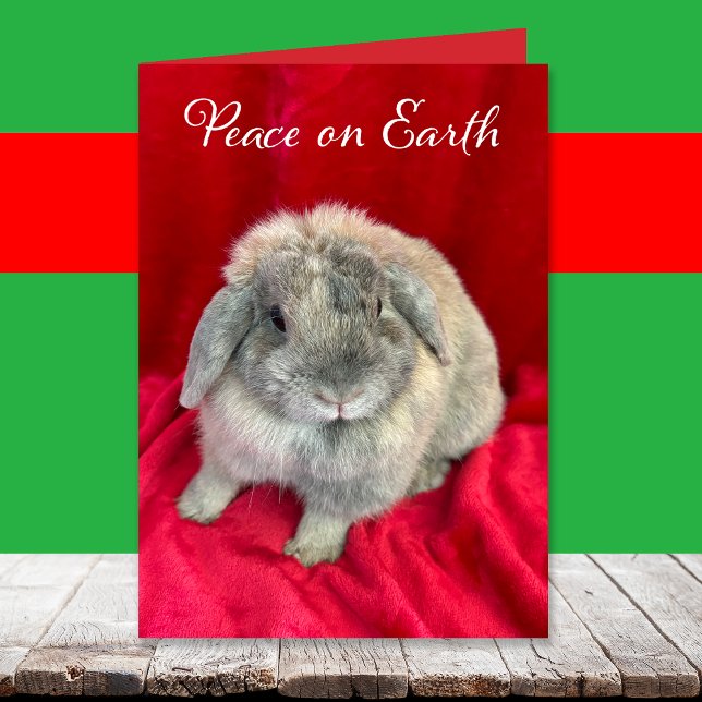 Süße Kaninchen-Weihnachtskarten Feiertagskarte (Von Creator hochgeladen)