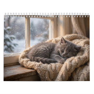 Süße Kätzchen 12-Monate-Wandkalender Kalender