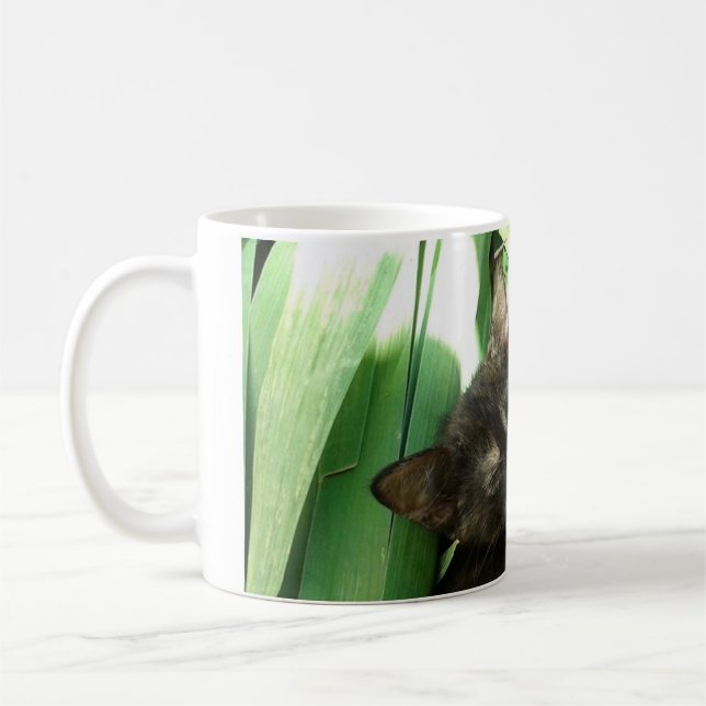 Süße Kätzchen kuscheln Kaffeetasse (Links)