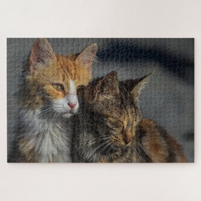 Süße Katze (Horizontal)