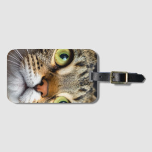 Süße Katze Gepäckanhänger