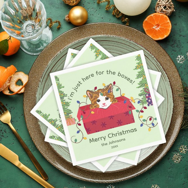 Süße Katze in einer Schachtel Hier wegen der Schac Serviette (Von Creator hochgeladen)