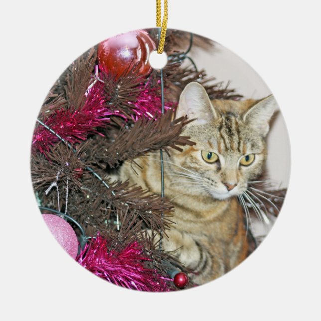süße Katze innerhalb einer Keramik Ornament (Vorne)