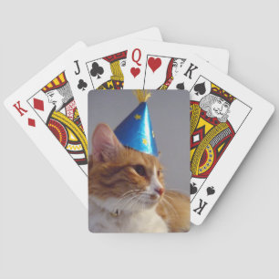 Süße Katze mit blauem Partyhut spielt Karten Spielkarten