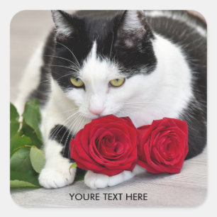 Süße Katze mit der roten Rose Quadratischer Aufkleber