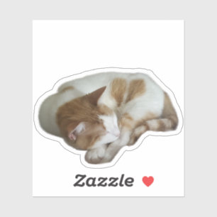 Süße Katze mit gebrochenem Herzen Aufkleber