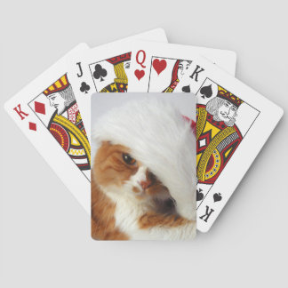 Süße Katze mit Weihnachtsmannmütze spielt Karten Spielkarten