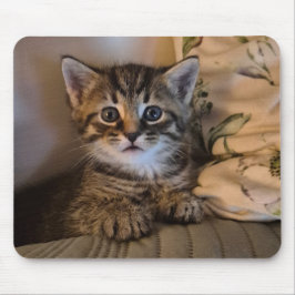 Süße Katze Mousepad
