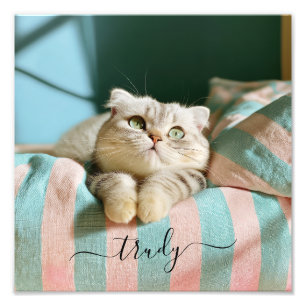 Süße Katze Name 10x10 Foto
