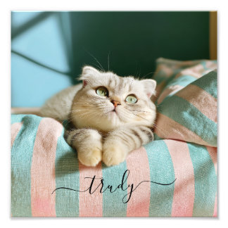 Süße Katze Name 10x10 Foto