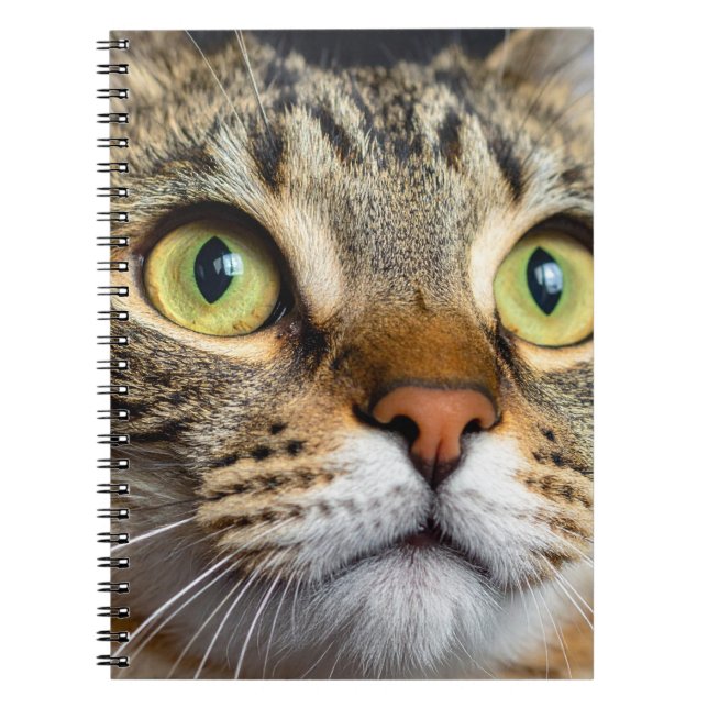 Süße Katze Notizblock (Vorderseite)