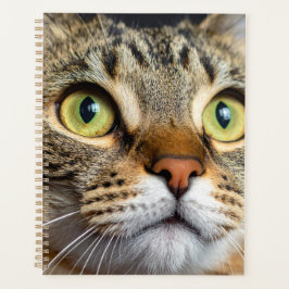 Süße Katze Planer