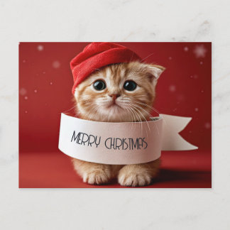 Süße Katze rotes Weihnachten