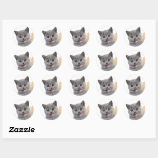 Süße Katze Runder Aufkleber