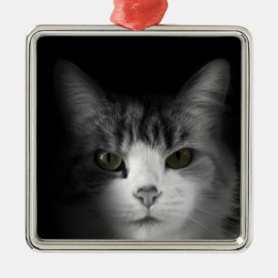 Süße Katze Silbernes Ornament