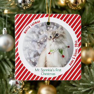 Süße Katzen Erste Weihnachtsfestliche Erinnerung Keramikornament