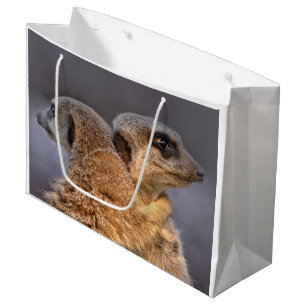 Süße Katzen-Geschenktüte Große Geschenktüte