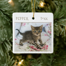 Süße Katzen-Pet-2-Fotos-Stern-Muster-Weihnachten