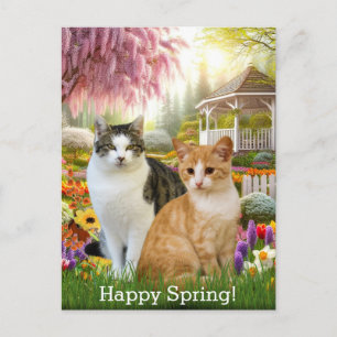Süße Katzen sitzen im Garten Postkarte