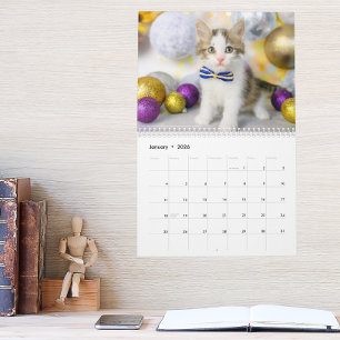 Süße Katzenfoto Es ist ein Katzenleben 2027 Kalender