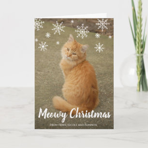 Süße Katzenfoto-Fun-Moderne Weihnachten