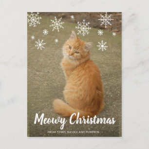 Süße Katzenfoto-Fun-Moderne Weihnachten