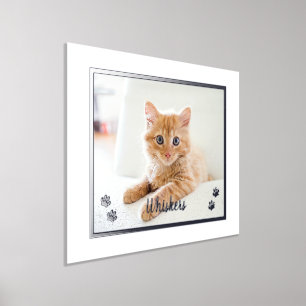 Süße Katzenliebhaber Personalisiertes Haustierfoto Foliendrucke