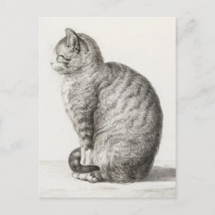 Süße Katzenskizze Jean-Bernard Duvivier Postkarte
