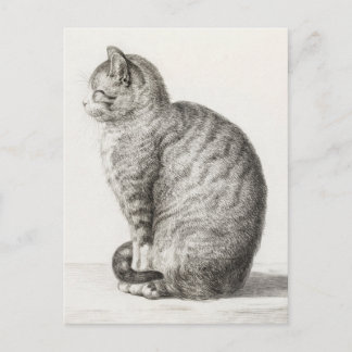 Süße Katzenskizze Jean-Bernard Duvivier Postkarte